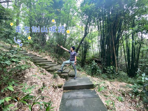 重庆徒步爬山圣地：缙云山免门票上山详细路线指引 - 知乎