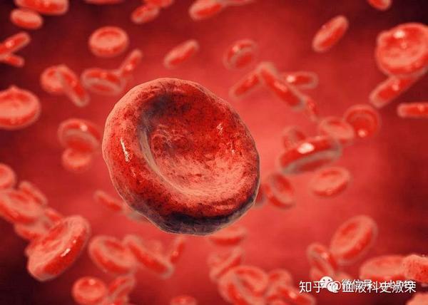 红细胞渗透脆性试验有何临床意义? - 知乎