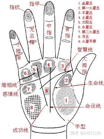 手相健康线长短图解大全 手相健康线图解女人 手掌健康线图解