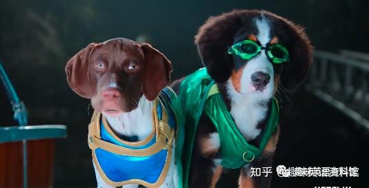 超能力狗狗的宇宙冒险superpupz超能狗狗2022第1季全内置中英文等多国