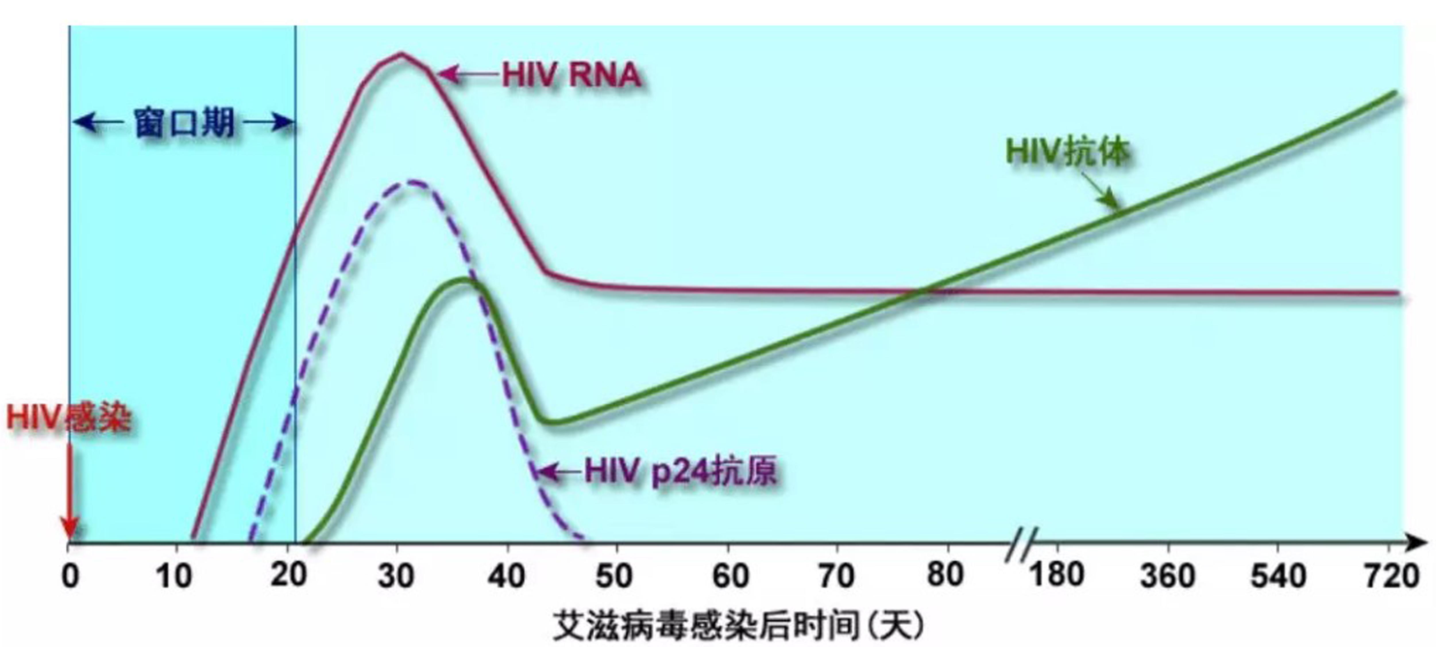 以艾滋病檢測為例,艾滋病是由於感染人類免疫缺陷病毒 (hiv病毒) 而