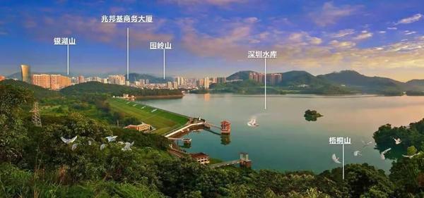 兆邦基ibo兆邦基商务大厦5号线布心站b出口