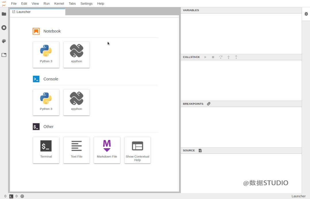  jupyter debug 