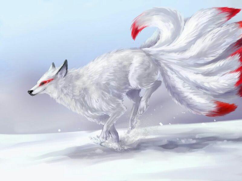 看完《三生三世·十里桃花》,你可知青丘白狐到底在哪?