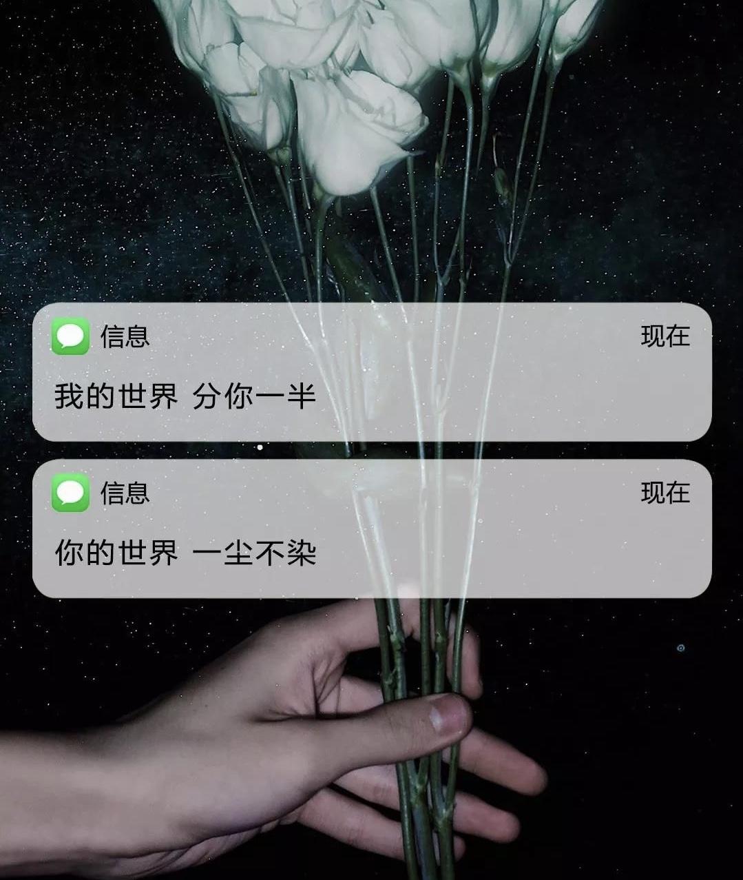 抖音点赞最多壁纸我的世界分你一半