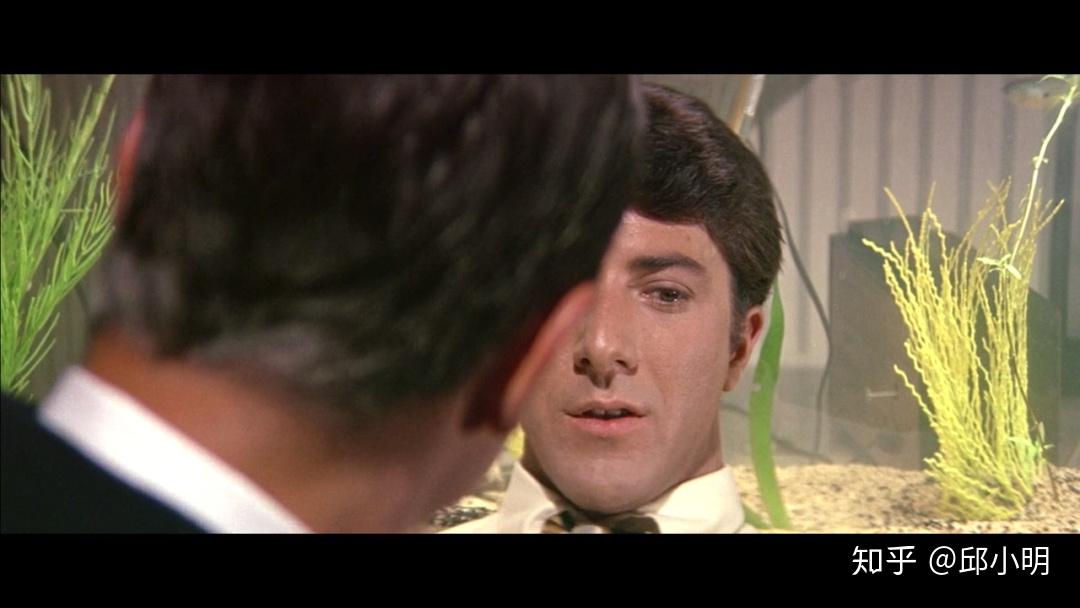 如何评价1967年电影毕业生