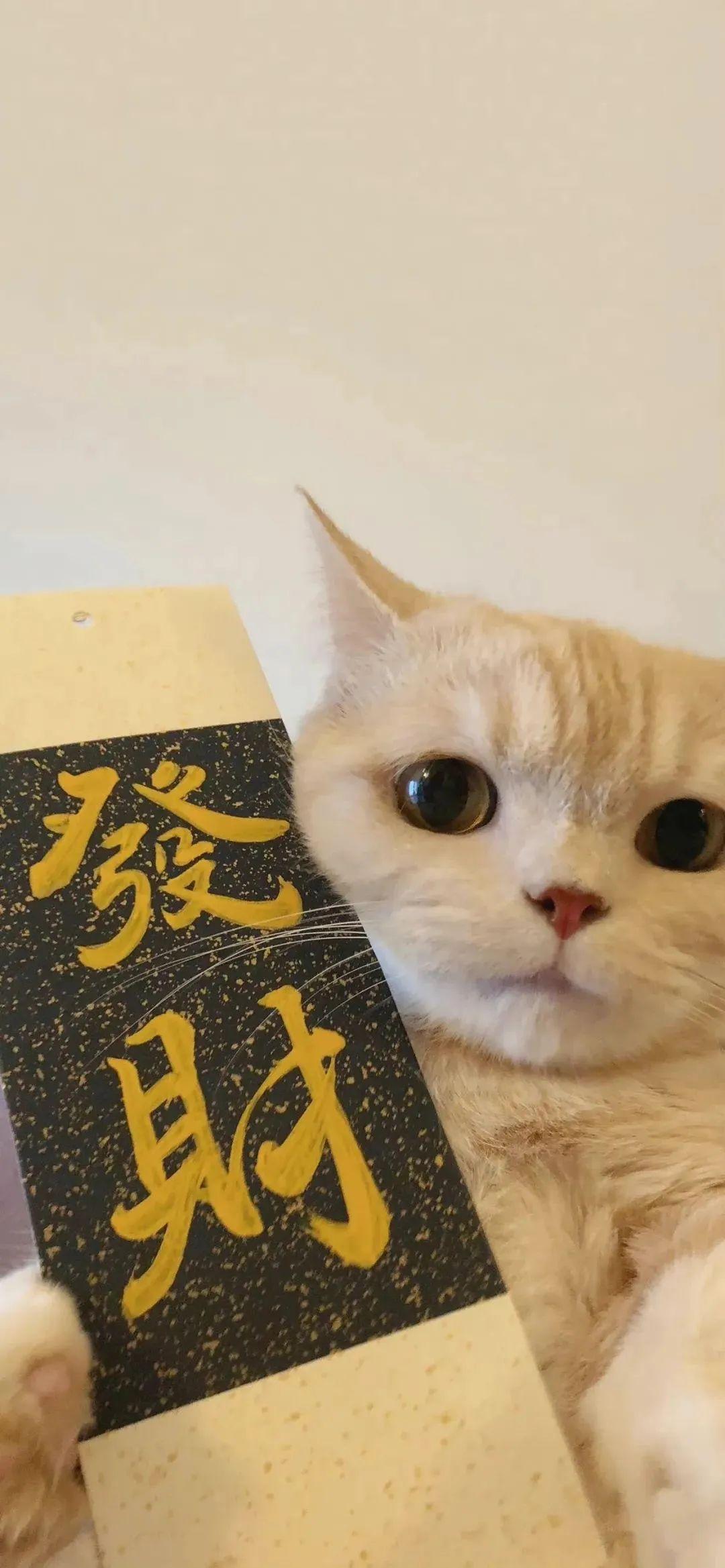 发挥极致的壁纸