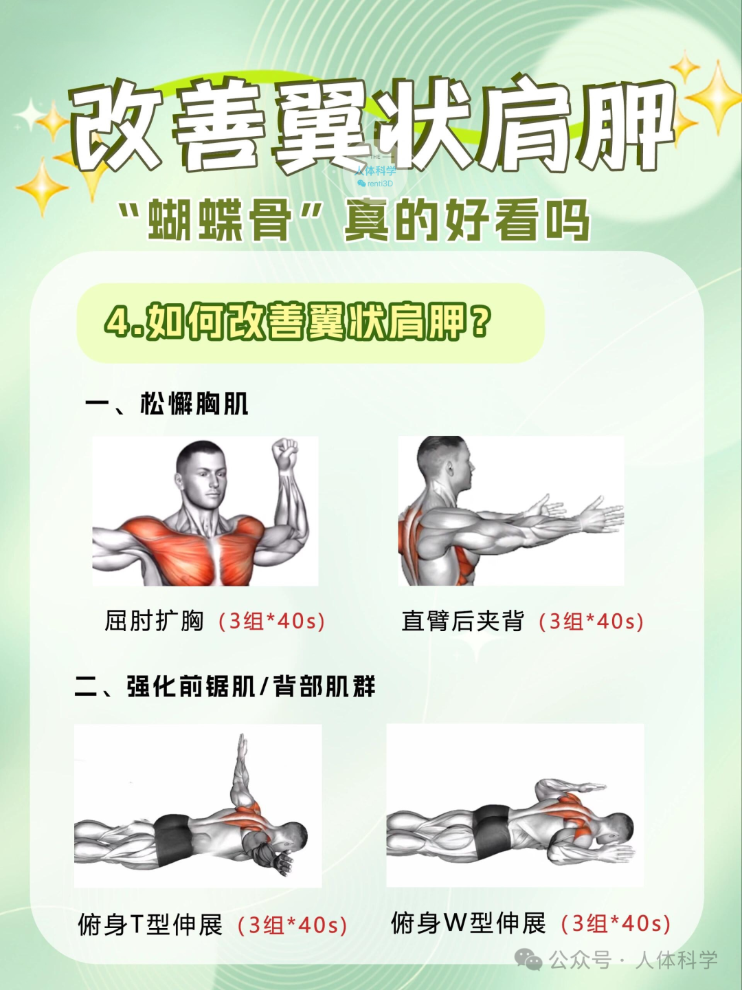 改善"蝴蝶背"的原理,思路和矫正方法