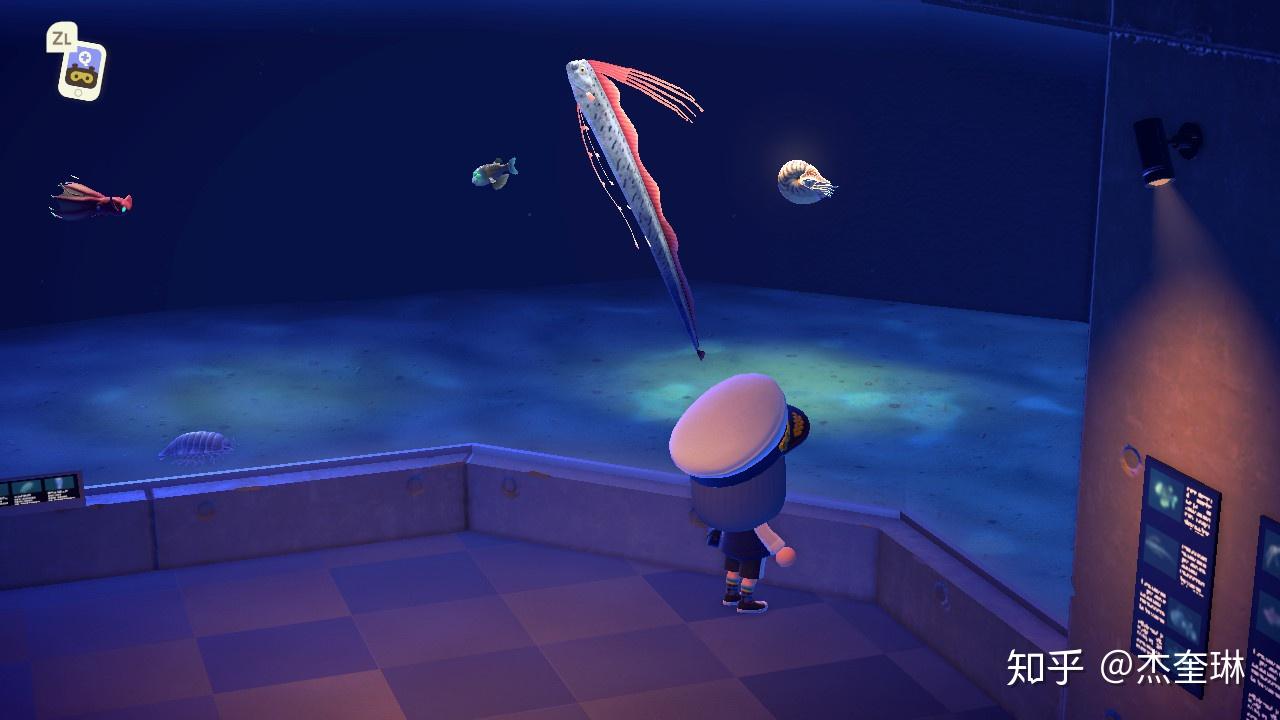 动物森友会之水族馆