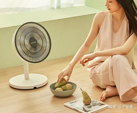 如何选择适合自己的电风扇 v2-6b381f21bcfcb867e049555a528b1e95_r.jpg