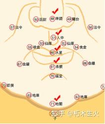 苏民峰面相第 2 课 隼頭、人中、口、承漿、地閣及三停 - 知乎