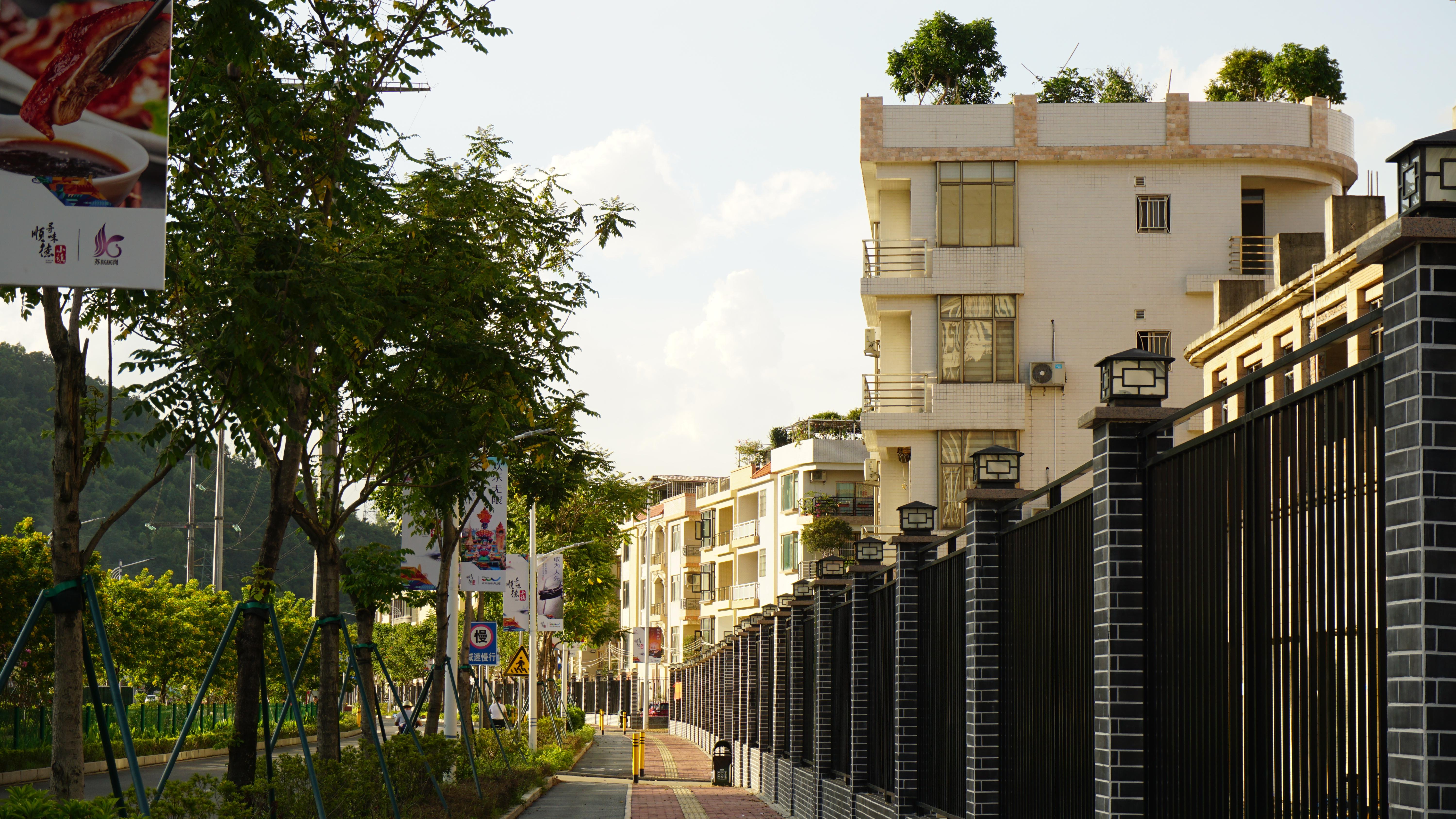 记忆里的那抹顺德大良「凤城黄」,如今已是五彩斑斓