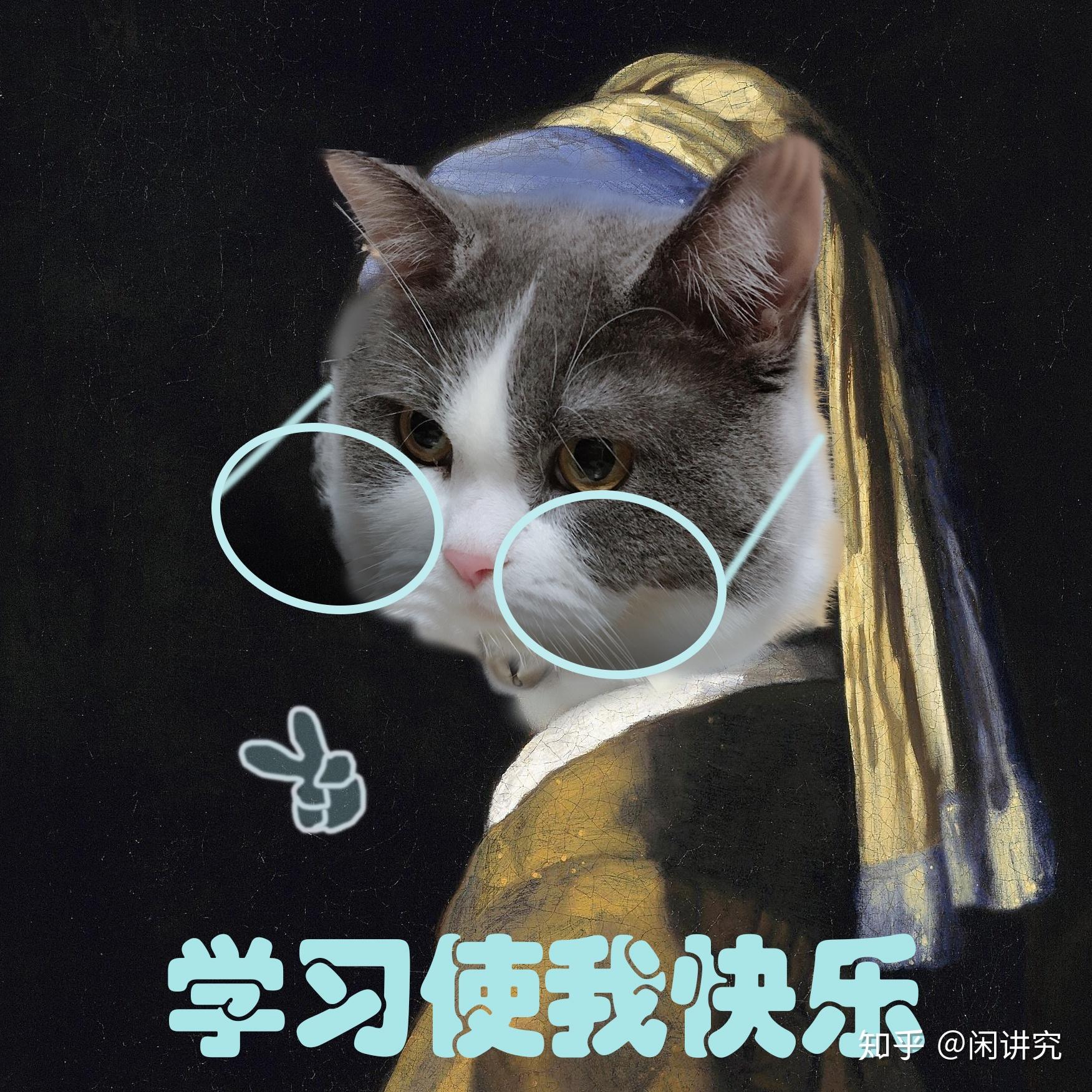 有哪些关于学习加分的微信表情包