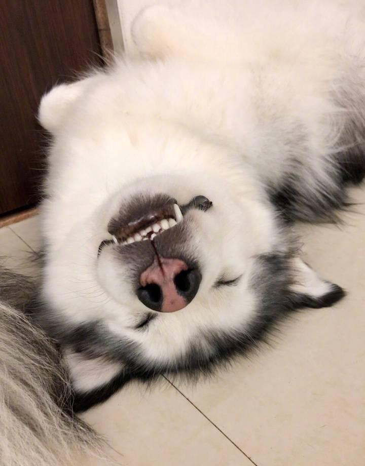 代码片段