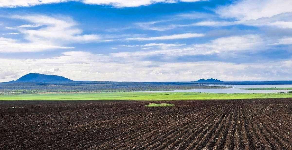 乌克兰平原黑土地图片