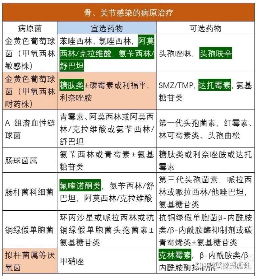抗菌药物在各组织器官的分布特点及宜选药物干货