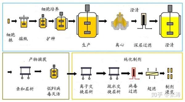 中国抗体药物行业分析与投资思考6单克隆抗体药物研发与生产关键技术