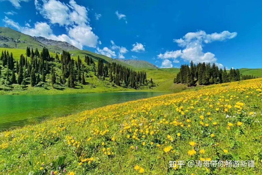 23年的旅行计划伊犁河谷你添加了吗 - 知乎