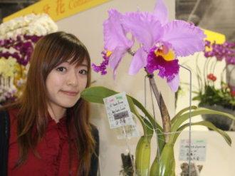 秋冬花卉推荐 万代兰的鉴赏与养护管理 知乎