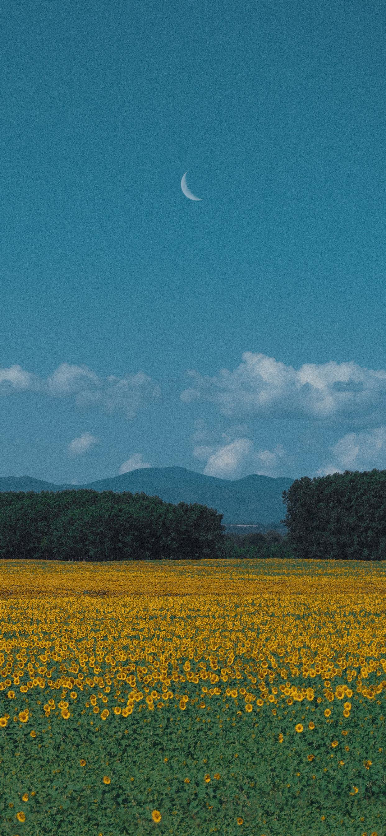 有哪些梦幻唯美,意境深远开阔,颜色淡雅,以景为主的的壁纸或图片?
