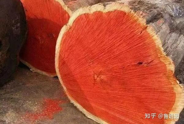 有红木品相而无红木之价，被打假多年的“红花梨”有话说！ - 知乎