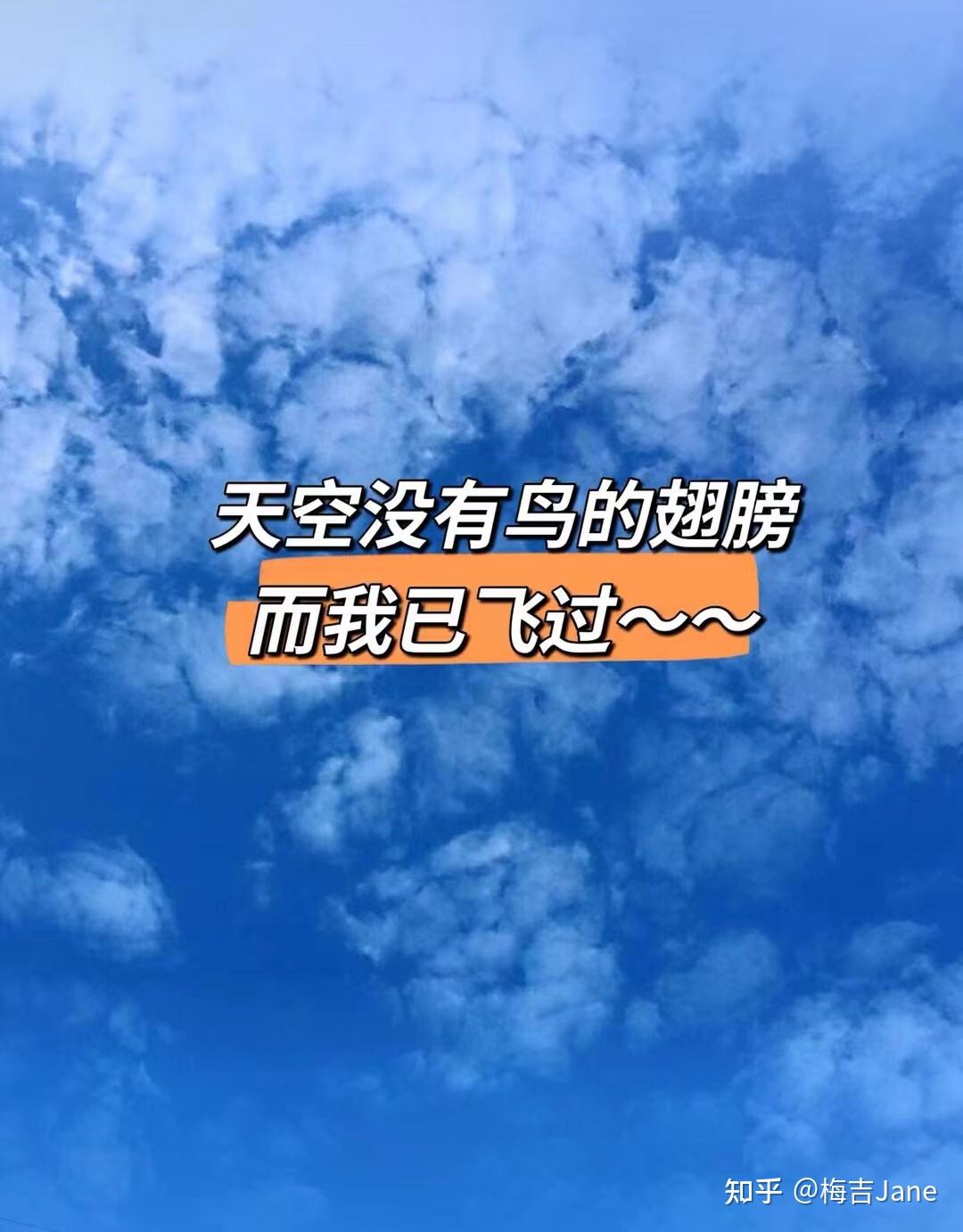 你飞过了那片天空…我知道,我很知道,天空没有鸟的翅膀,你飞得很远