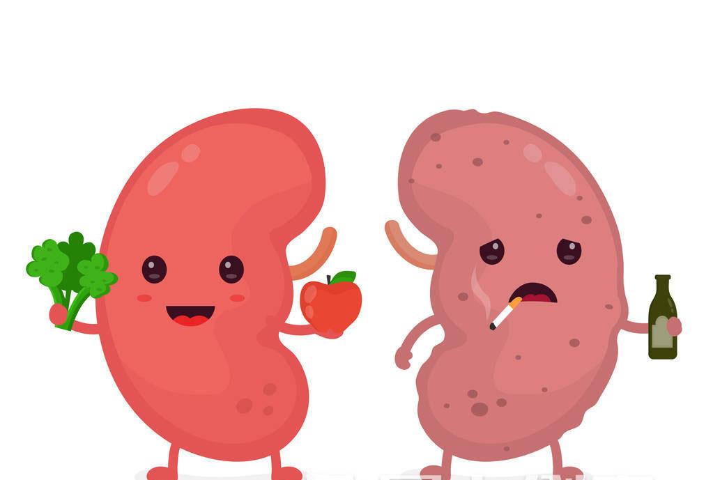 刚服用替诺福韦三个月肾功能异常怎么办呢