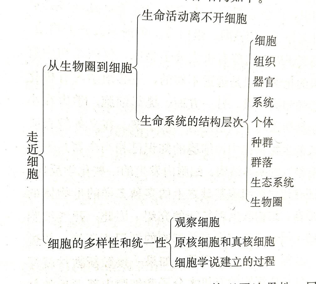 思維導圖工具對高中生物學習有用嗎