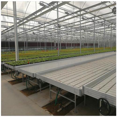 苗床最新价格移动苗床潮汐苗床实时报价