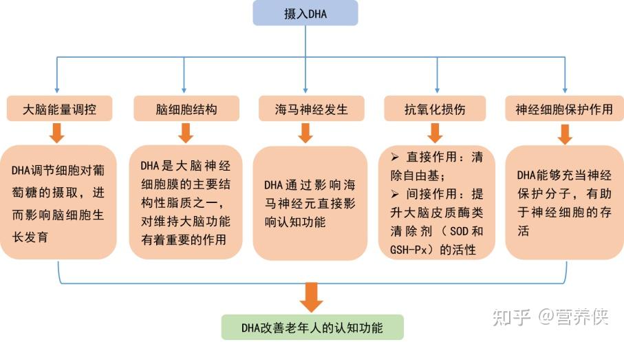 膳食DHA补充对老年人的作用 - 知乎