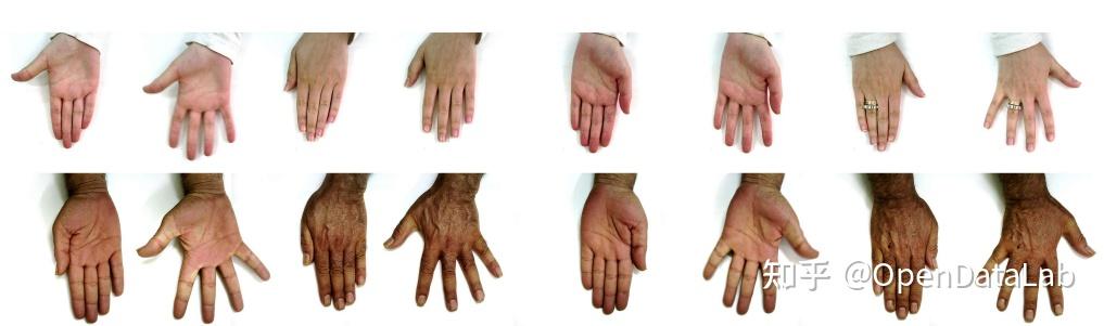 手部数据太难找?最全手部开源数据集分享 - 知乎