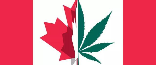 最新房地产话题之一 大麻合法化 Cannabis Act 知乎