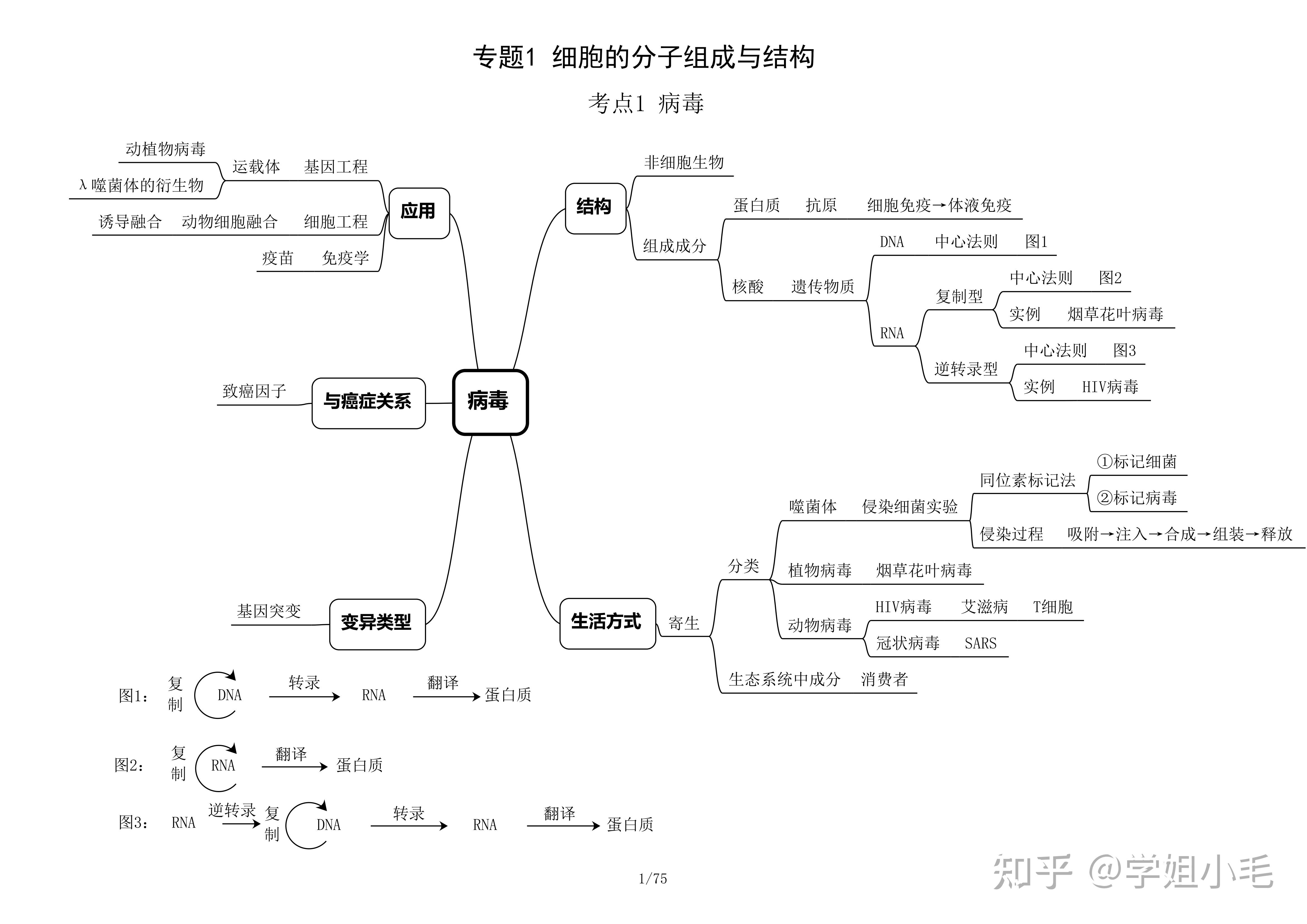 高中生物思维导图助你学