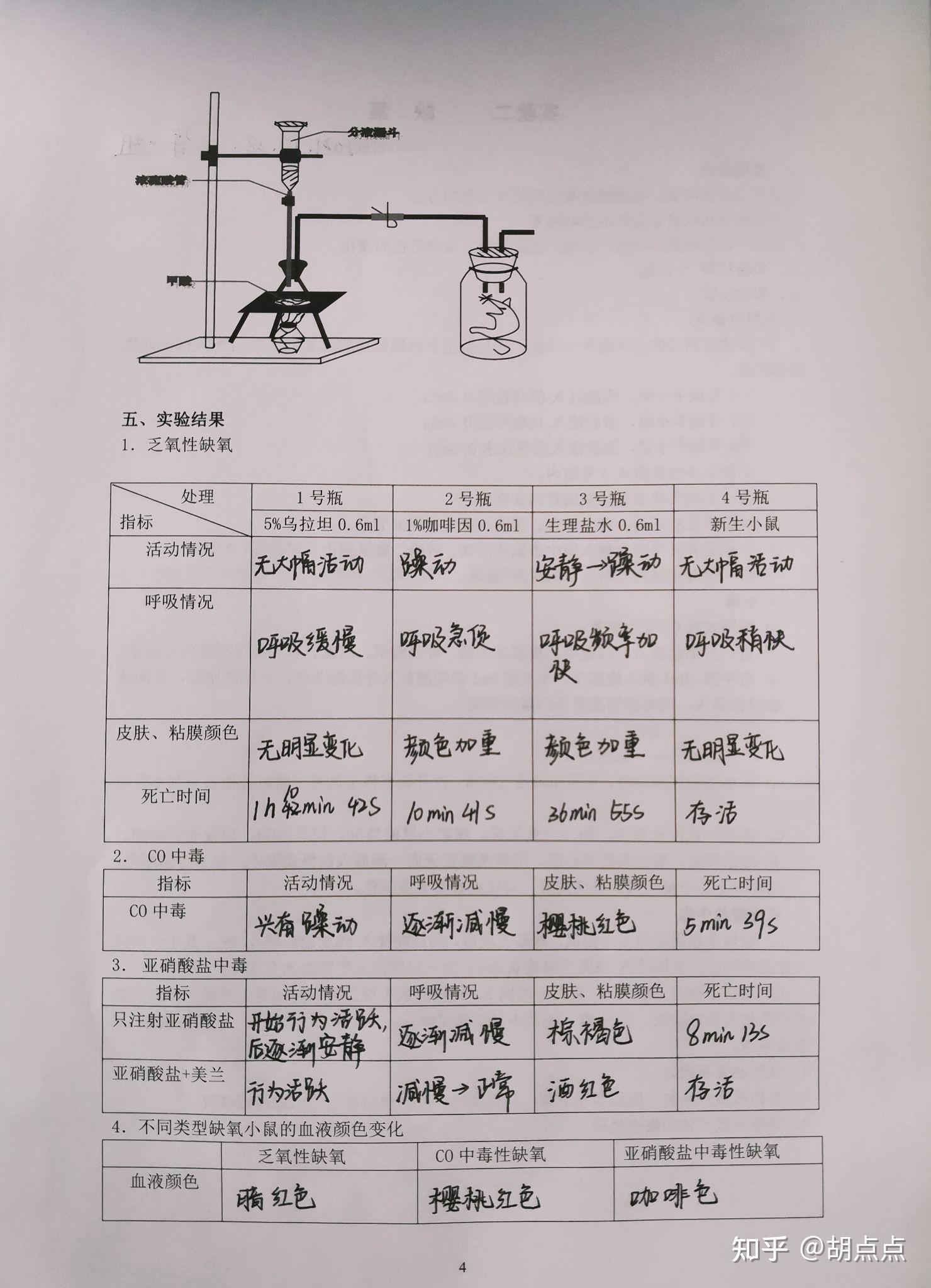 病理生理学   实验报告——缺氧