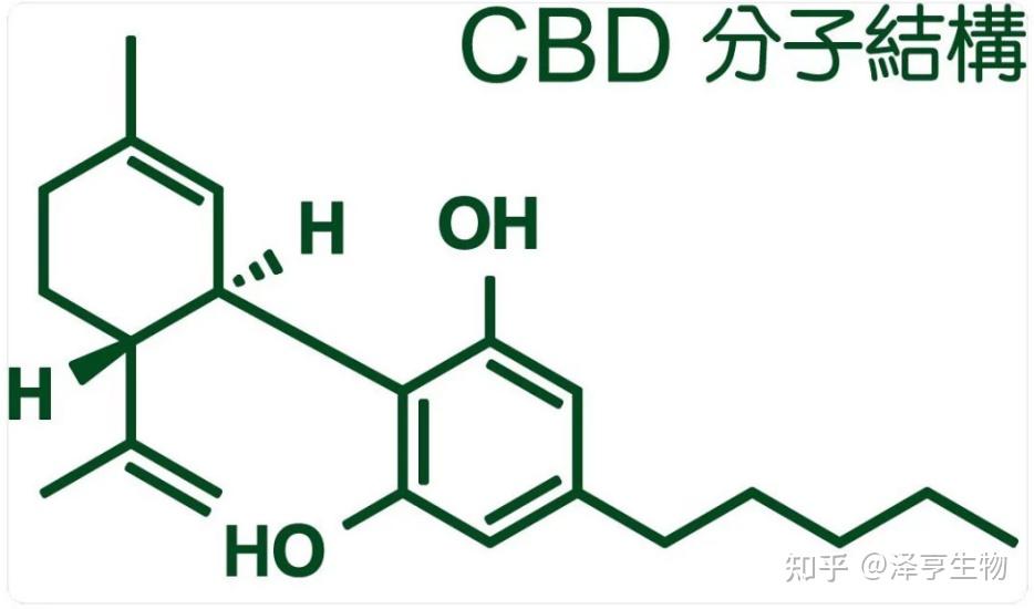 Activgenix Cbd Gummies