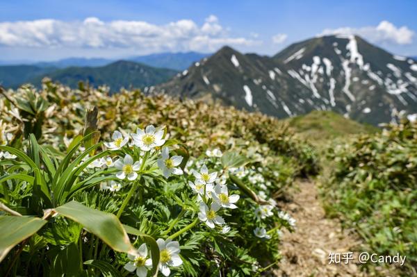 富士登山 日本百名山 图辑 与 山之日 节假日 知乎