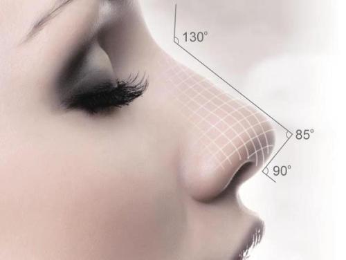 美鼻的标准你知道多少呢 知乎