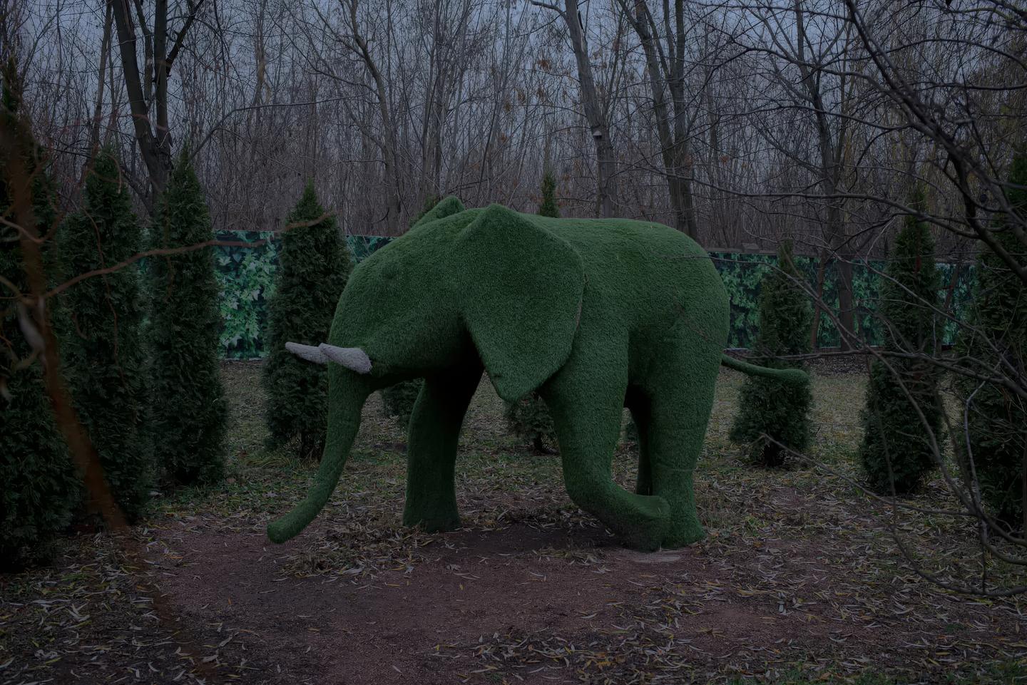 斯拉维扬斯克桑树公园