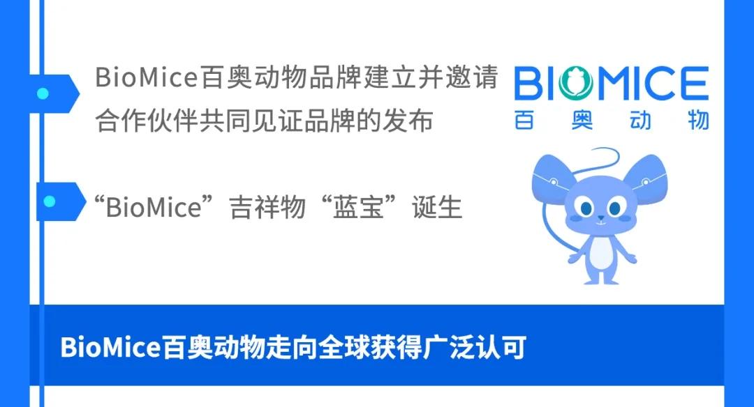 百奥赛图年度回顾 | 蓄力一纪,再启新程