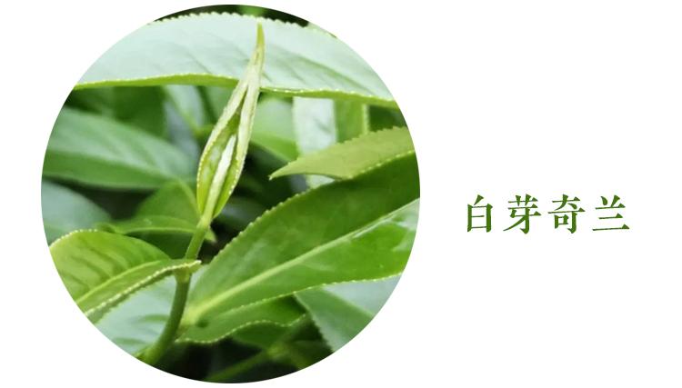 漳州版“刨猪宴”开吃！