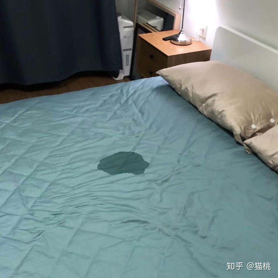 猫总是尿床该怎么办