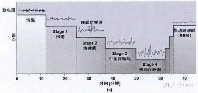 特斯拉睡眠法图片