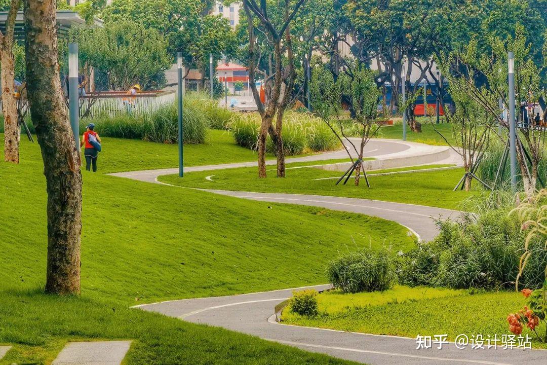 微地形植物种植设计图片