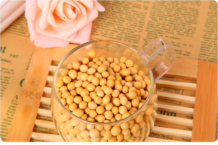 期货品种详解之黄大豆期货