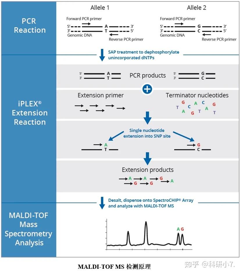 基因组遗传变异研究——SNP检测方法|生信发文利器 - 知乎