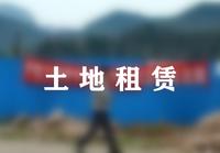 农村集体土地以租代征合不合法?签订了土地租赁合同该怎么办?