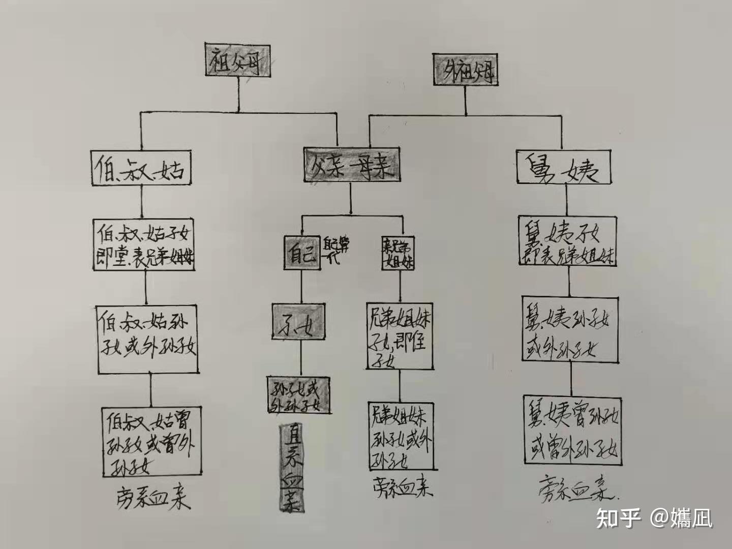 民法典中的直系和三代以內的旁系