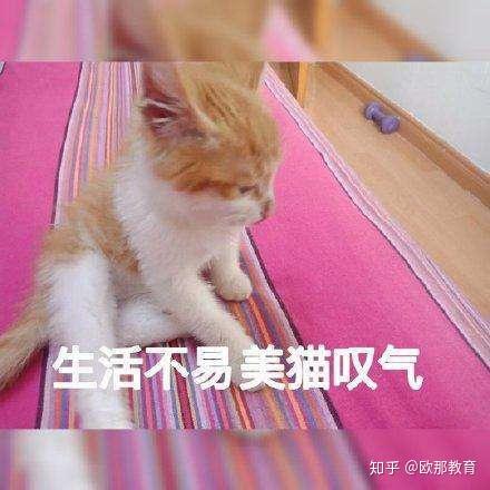 v2-6c73103f272f5c30f6a3b52cdc42c2ed_r.jpg