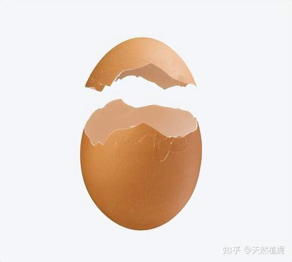 产蛋后期蛋壳质量下降,软壳蛋、沙壳蛋增多,该如何改善? - 知乎