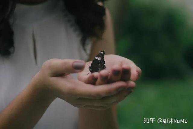 许伊纹:一个像蝴蝶一样的女子